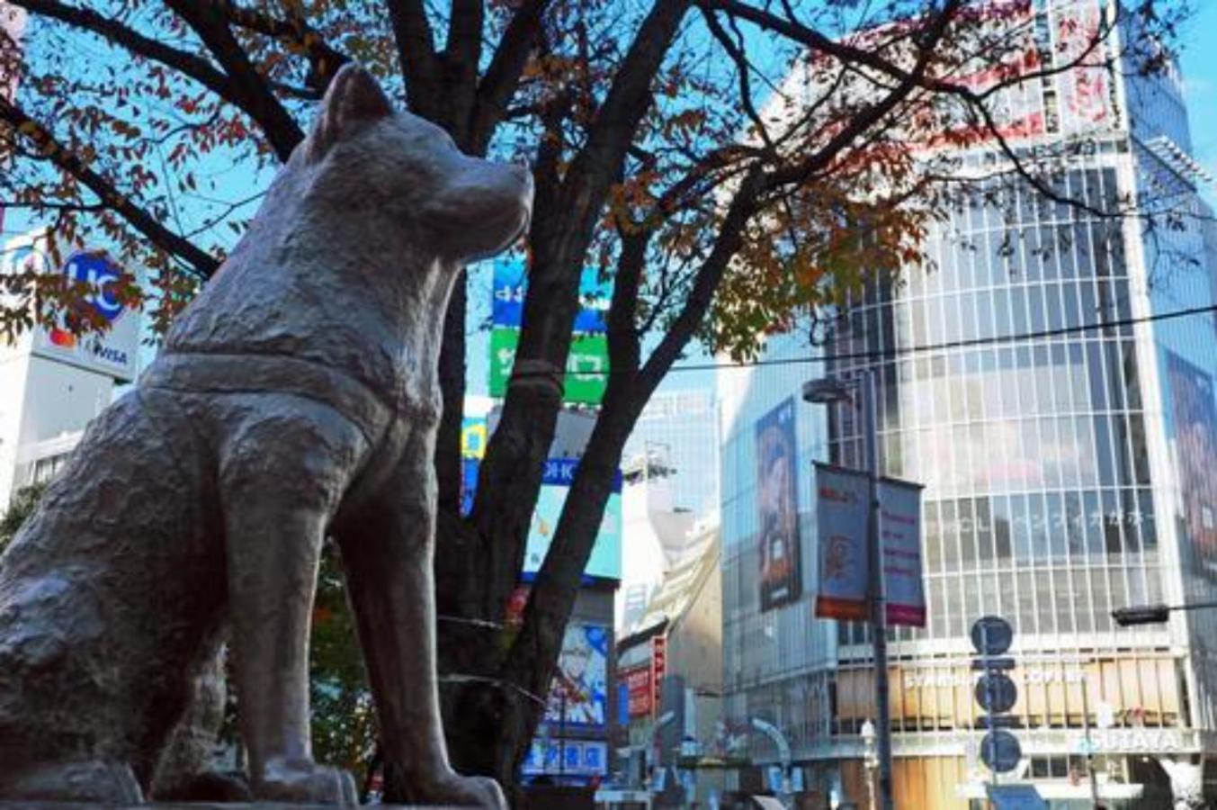 Airhome Ebisu 102 東京都